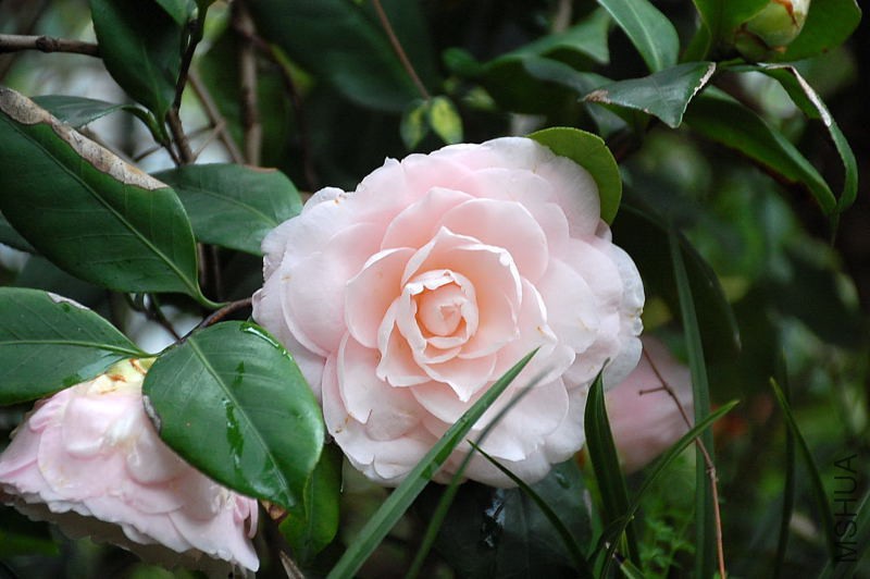 DSC_31410269.JPG