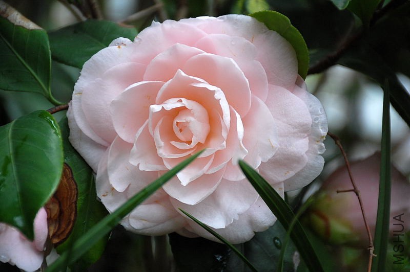 DSC_31510279.JPG
