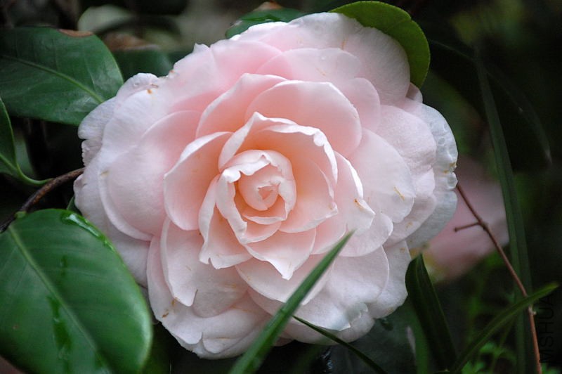 DSC_31550283.JPG