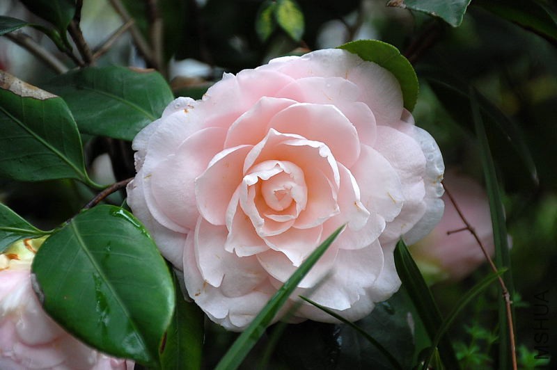 DSC_31530281.JPG