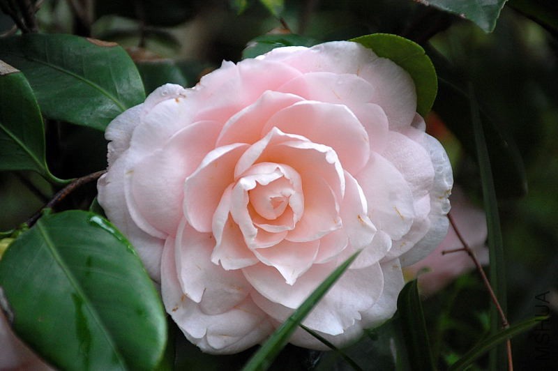 DSC_31450273.JPG