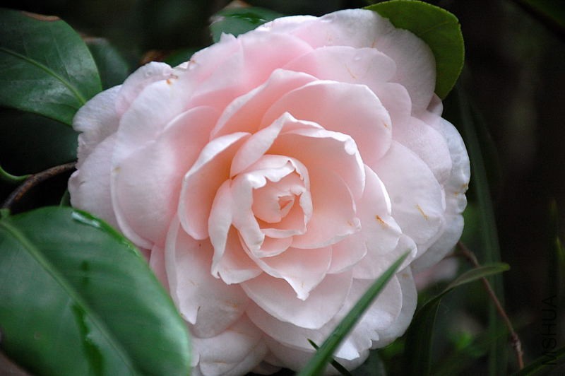 DSC_31480276.JPG
