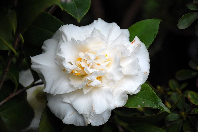 DSC_30190147.JPG