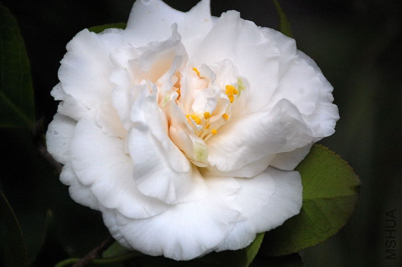 DSC_30100138.JPG