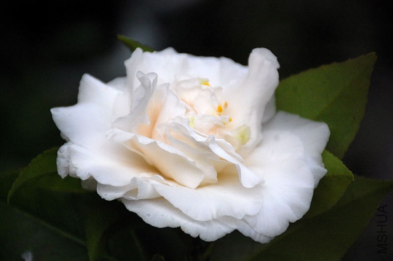 DSC_30080136.JPG