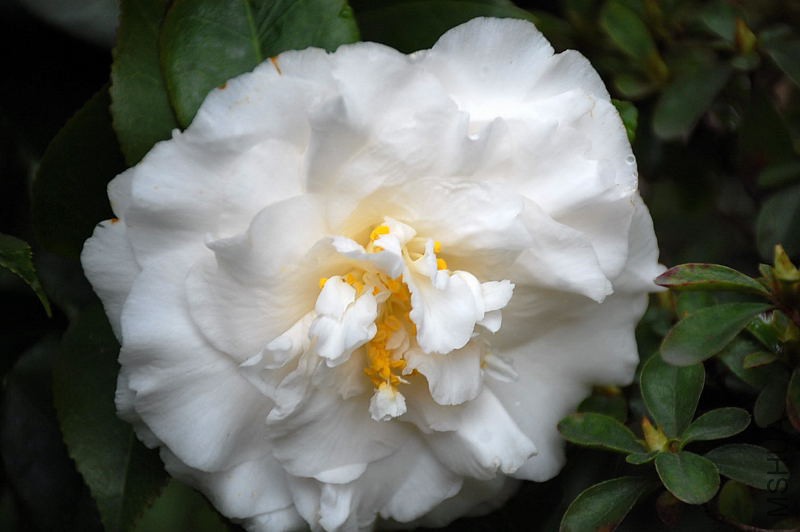 DSC_30260154.JPG