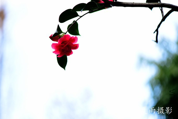 DSC_1805.jpg