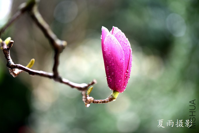 DSC_2091_����.jpg