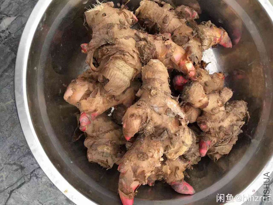 psb (5)_����.jpg