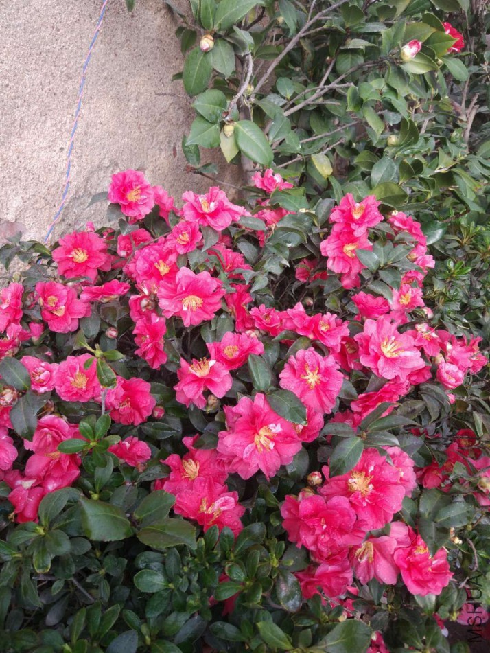΢��ͼƬ_20180307165904.jpg