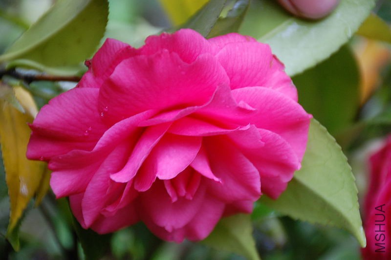 DSC_35480044.JPG