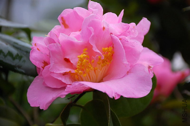 DSC_36020098.JPG