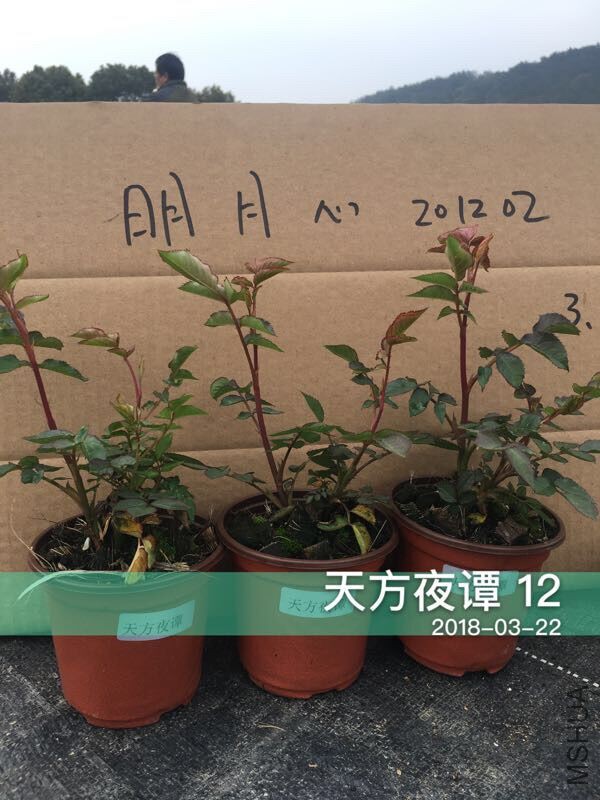 �췽ҹ̶��.jpg