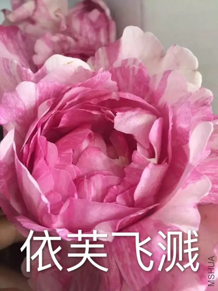 �ɽ���ͼ.jpg