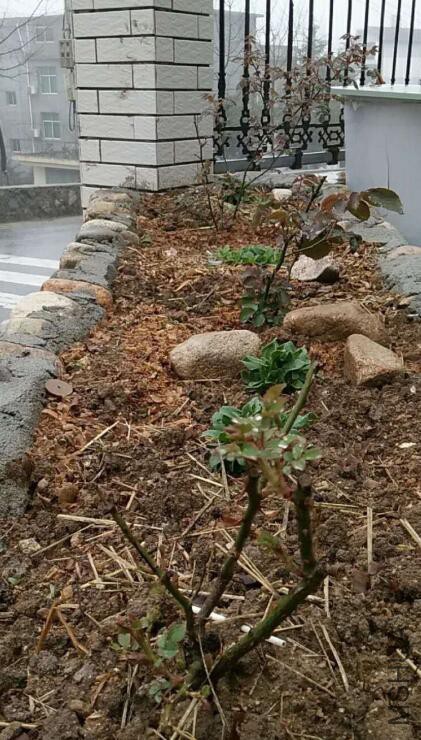 QQ��ͼ20180322165008 s.jpg