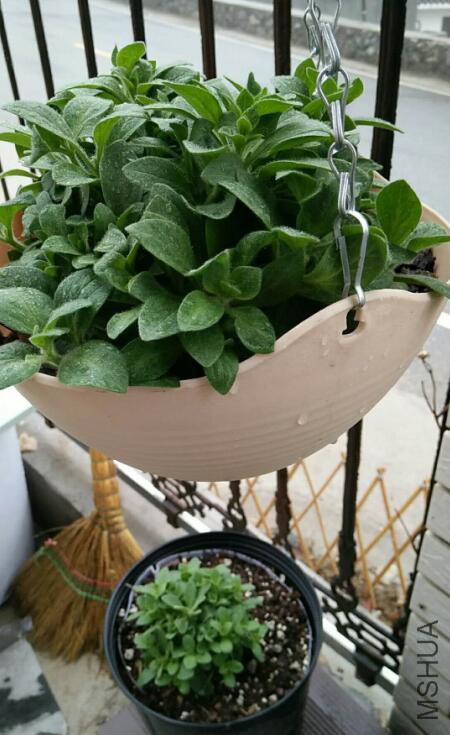 QQ��ͼ20180322170027 s.jpg