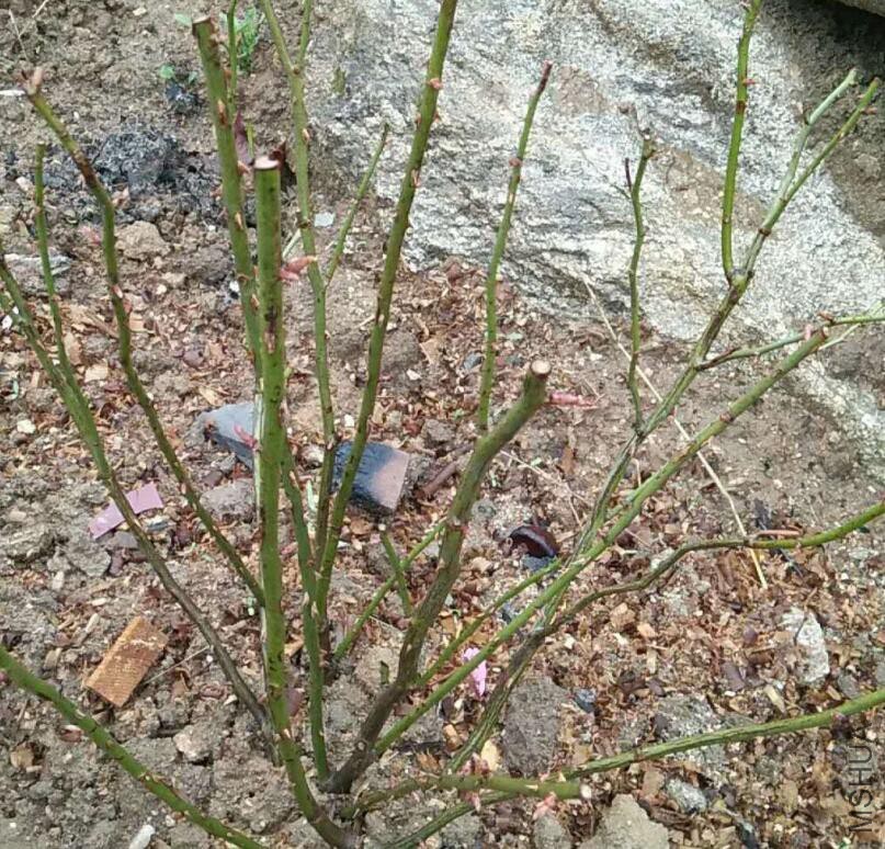 QQ��ͼ20180322170048 s.jpg