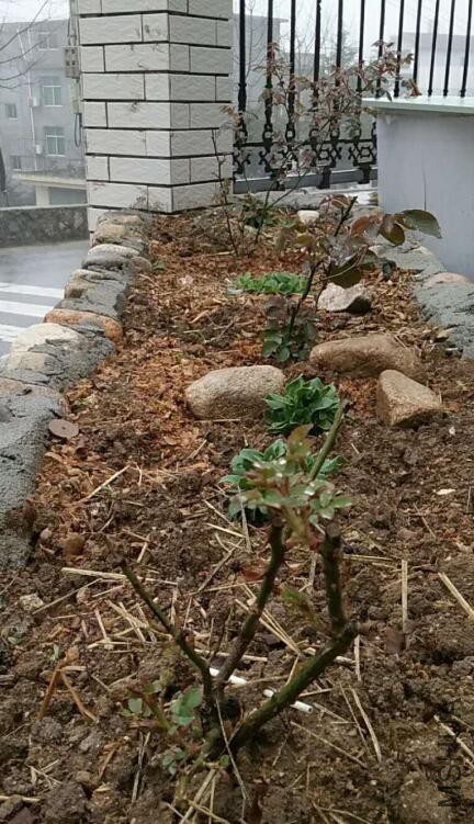 QQ��ͼ20180322170139 s.jpg