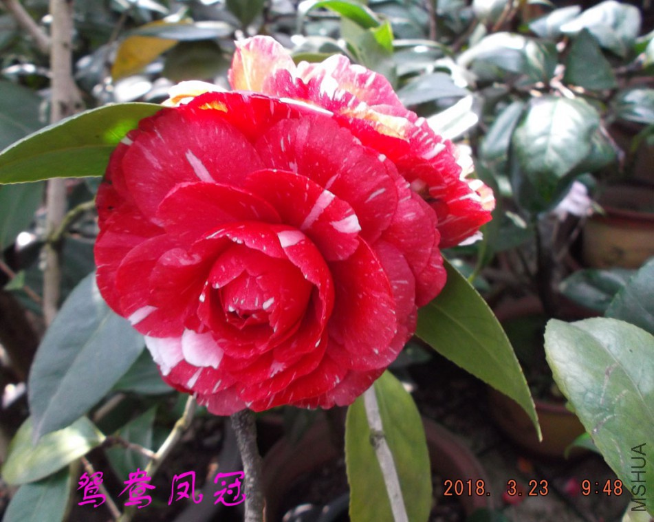 2018-3-23 019����.jpg