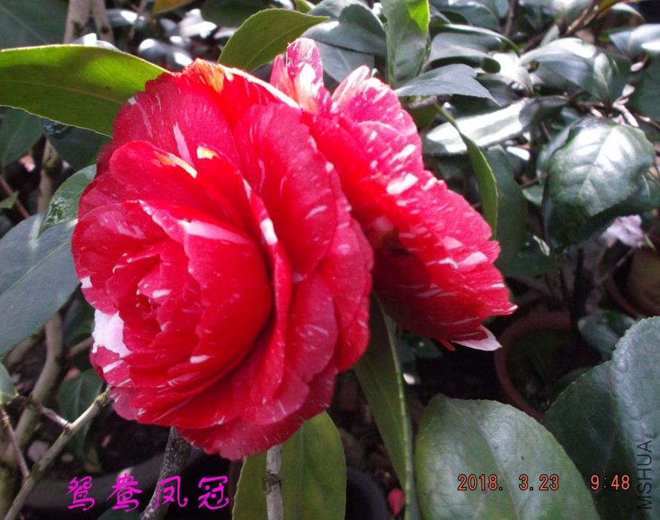 2018-3-23 020����.jpg