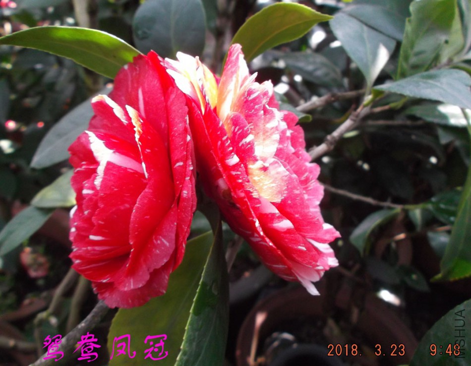 2018-3-23 021����.jpg