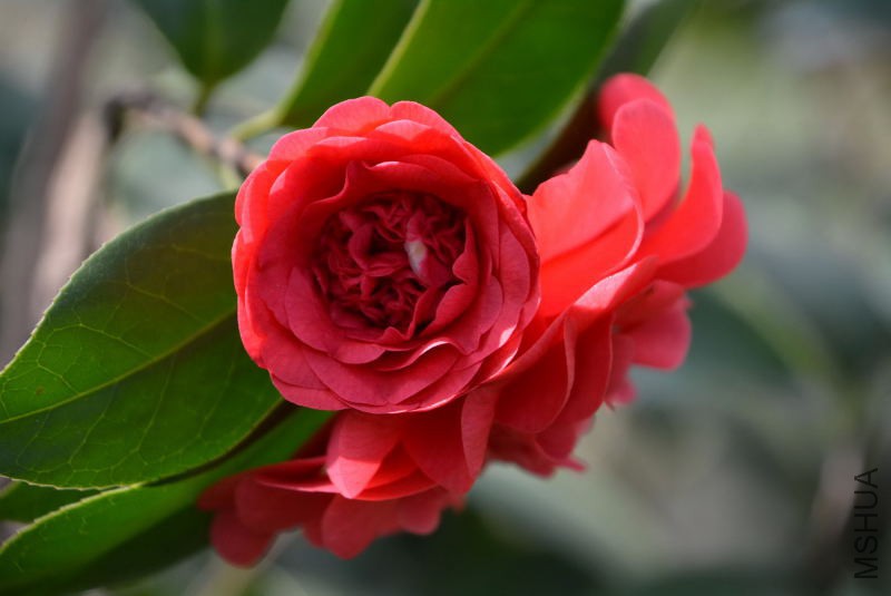 DSC_82910565.JPG