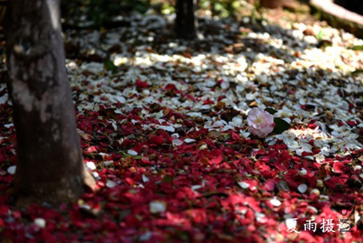 DSC_3208.jpg