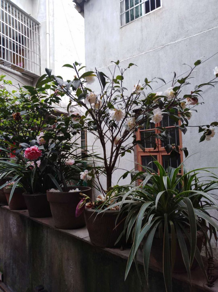 ΢��ͼƬ_20180324221018.jpg