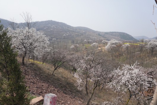 DSC00765_�༭_�༭.jpg