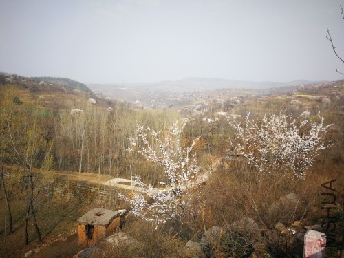 IMG_20180324_092525_�༭.jpg