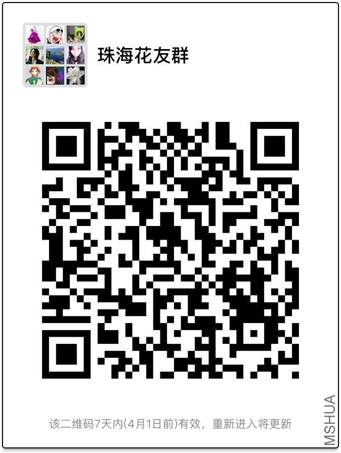 BF3B2005-7031-4F46-95C9-B0CF2B48EB10.jpeg