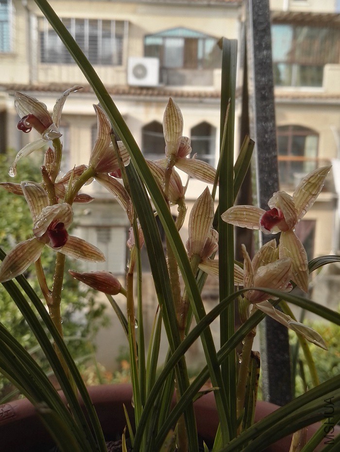 ������������