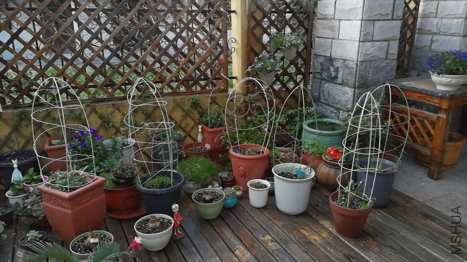 ΢��ͼƬ_20180326140236.jpg