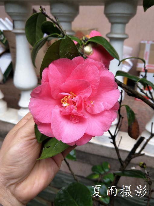 IMG20180326114322.jpg