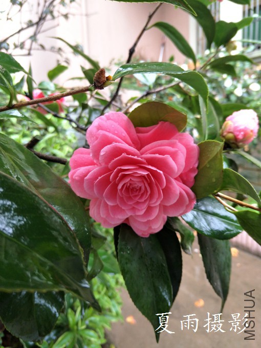 IMG20180326114543.jpg