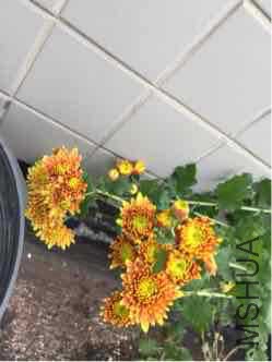 85D910DA-96F1-4843-B20A-B48D94C8A53F.jpeg