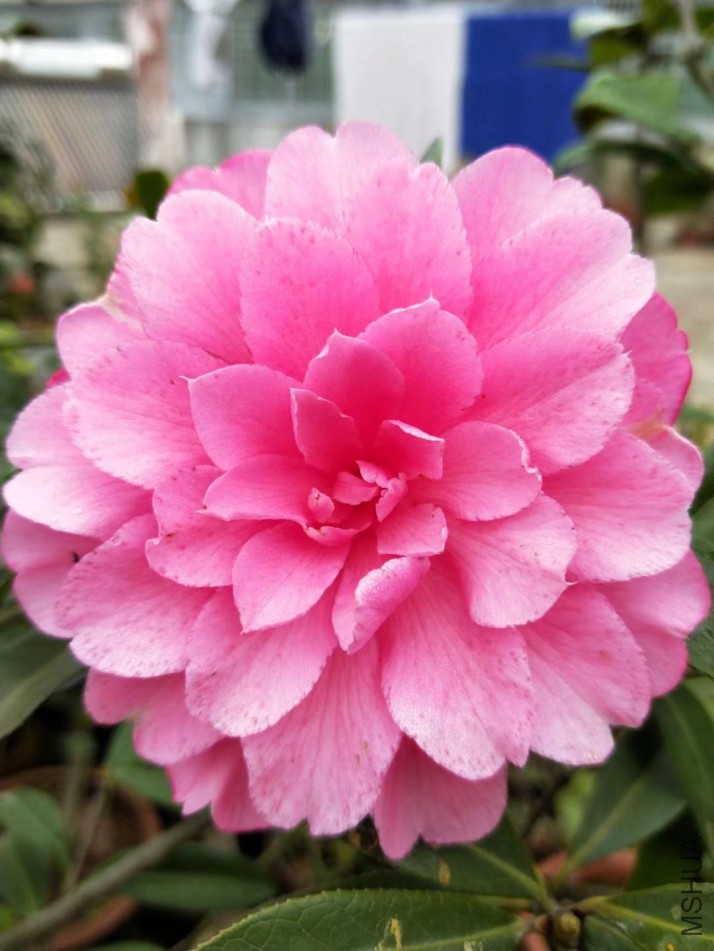 2345_image_file_copy_3.jpg