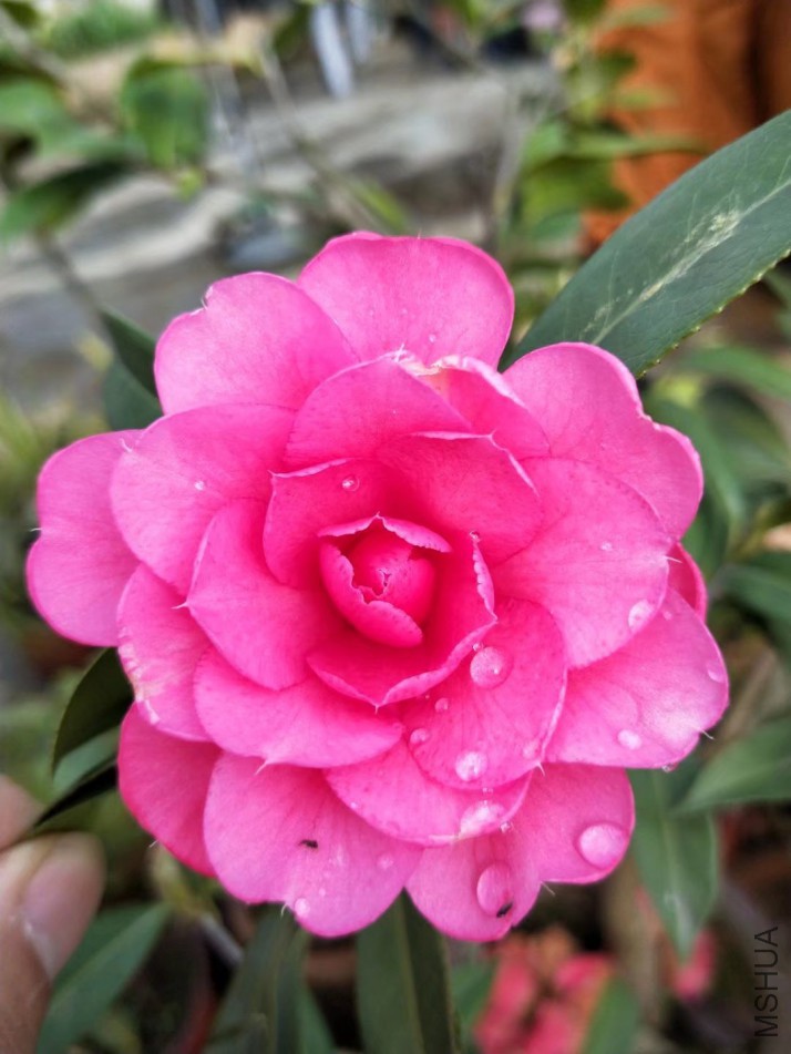 2345_image_file_copy_7.jpg