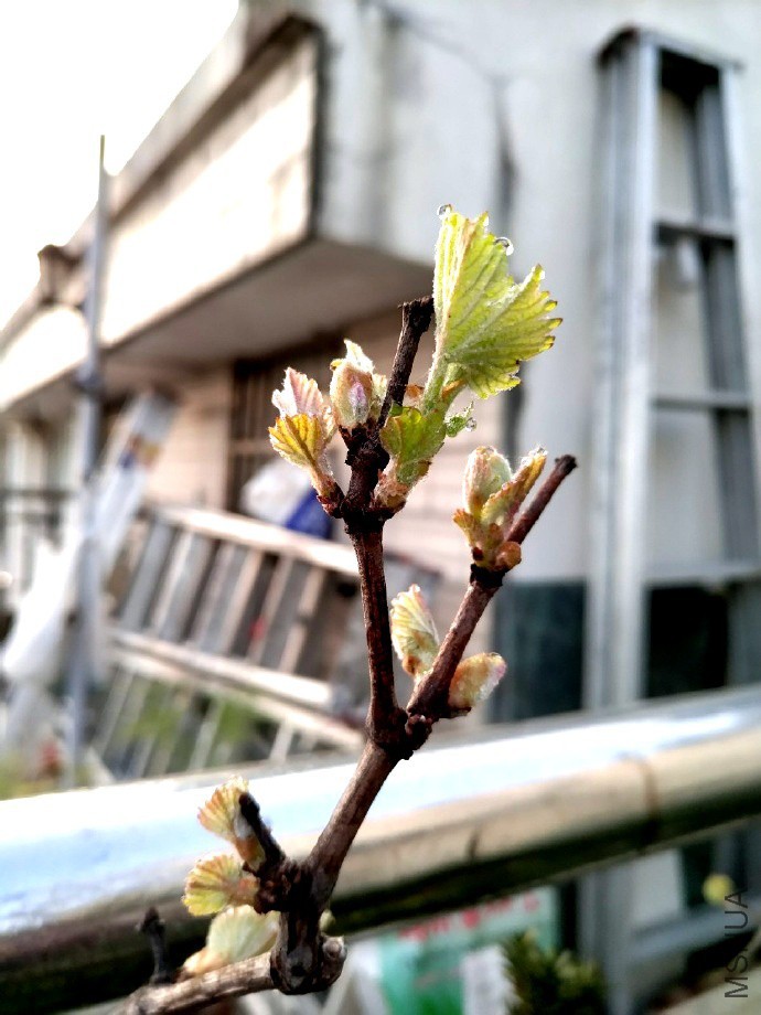 3.28
