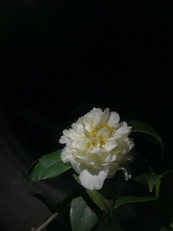 6fd8b351f8198618b42d7af646ed2e738ad4e69a.jpg