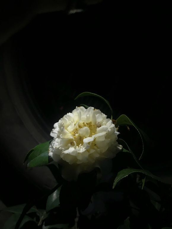 8dccdaf9d72a6059e37a74682434349b023bba9a.jpg