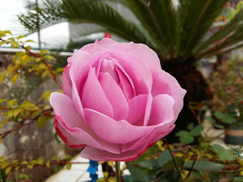 20180325_164413_����.jpg
