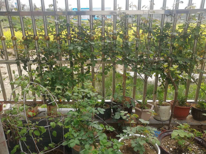 ΢��ͼƬ_20180329120717.jpg