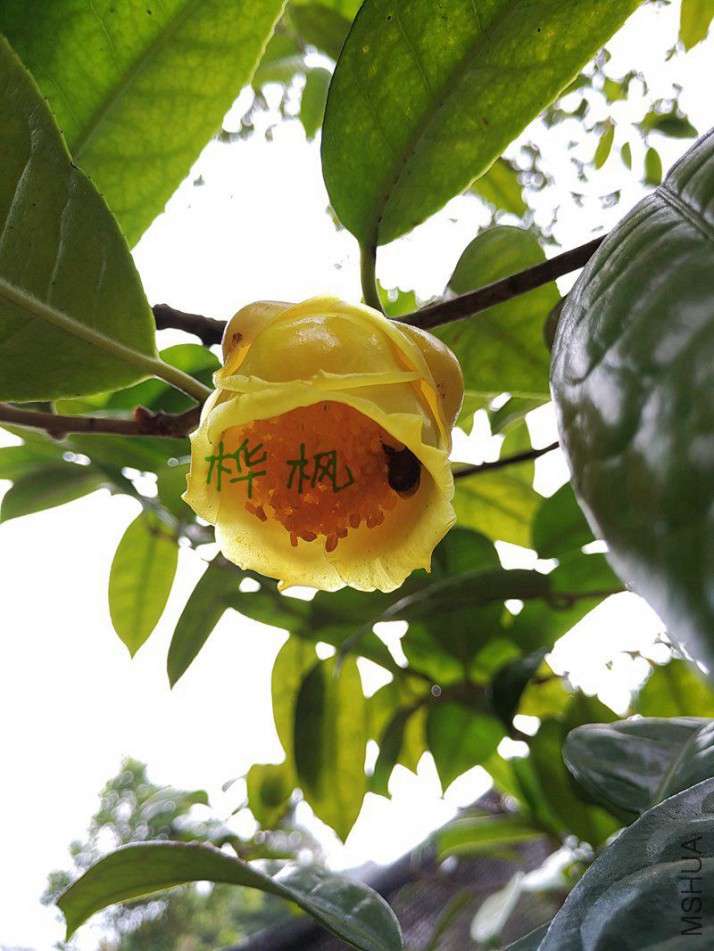 P80218-105041.jpg