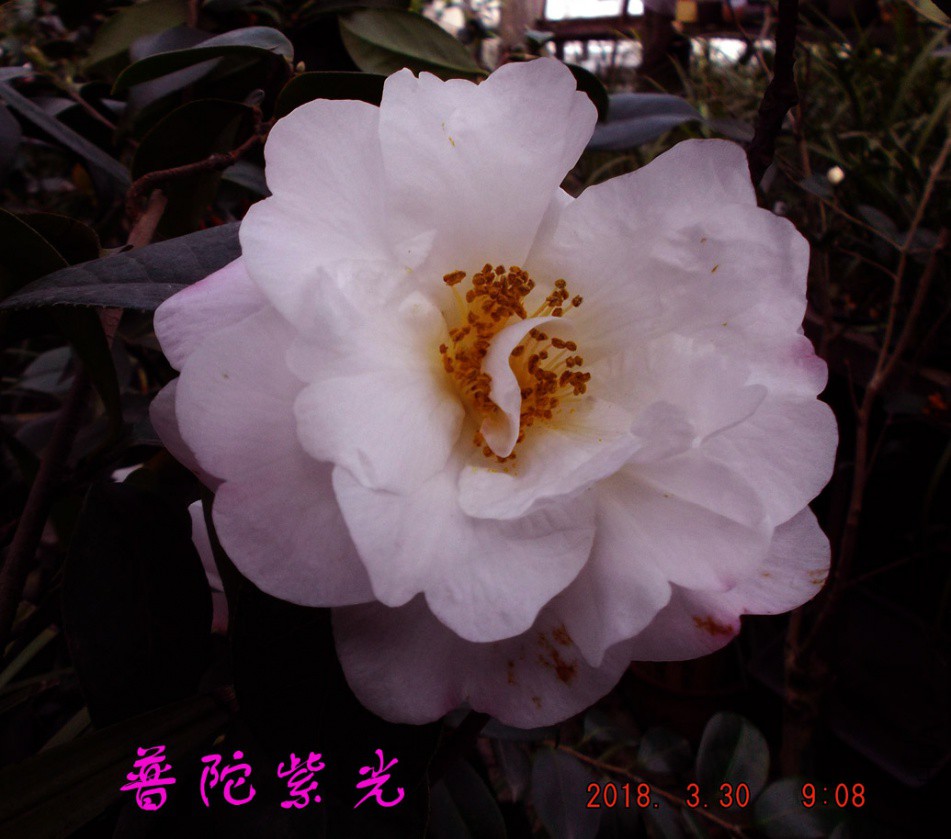 2018330j 006����.jpg