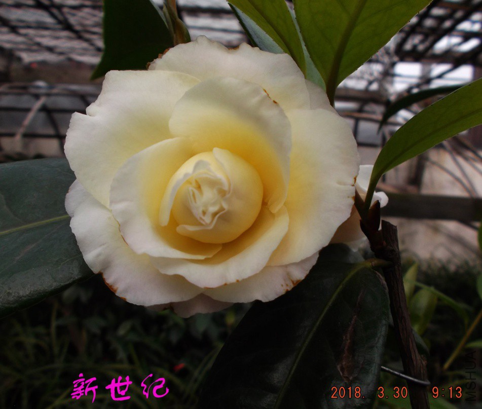 2018330j 017����.jpg