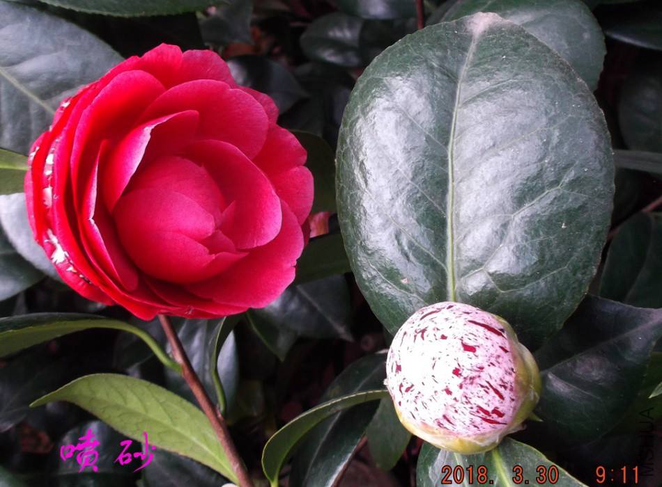 2018330j 014����.jpg