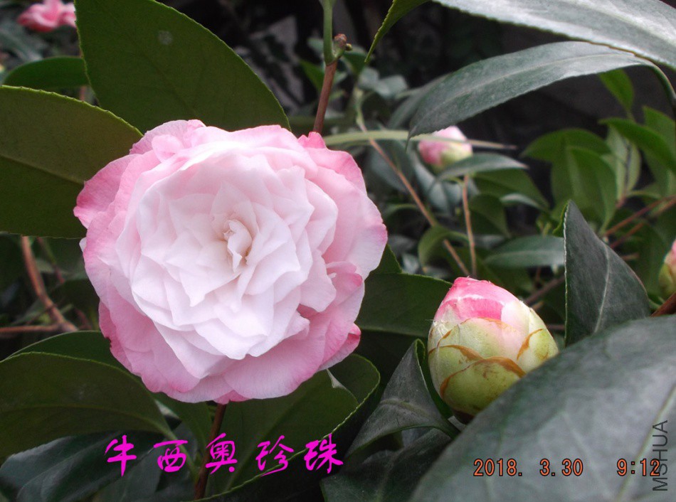 2018330j 016����.jpg