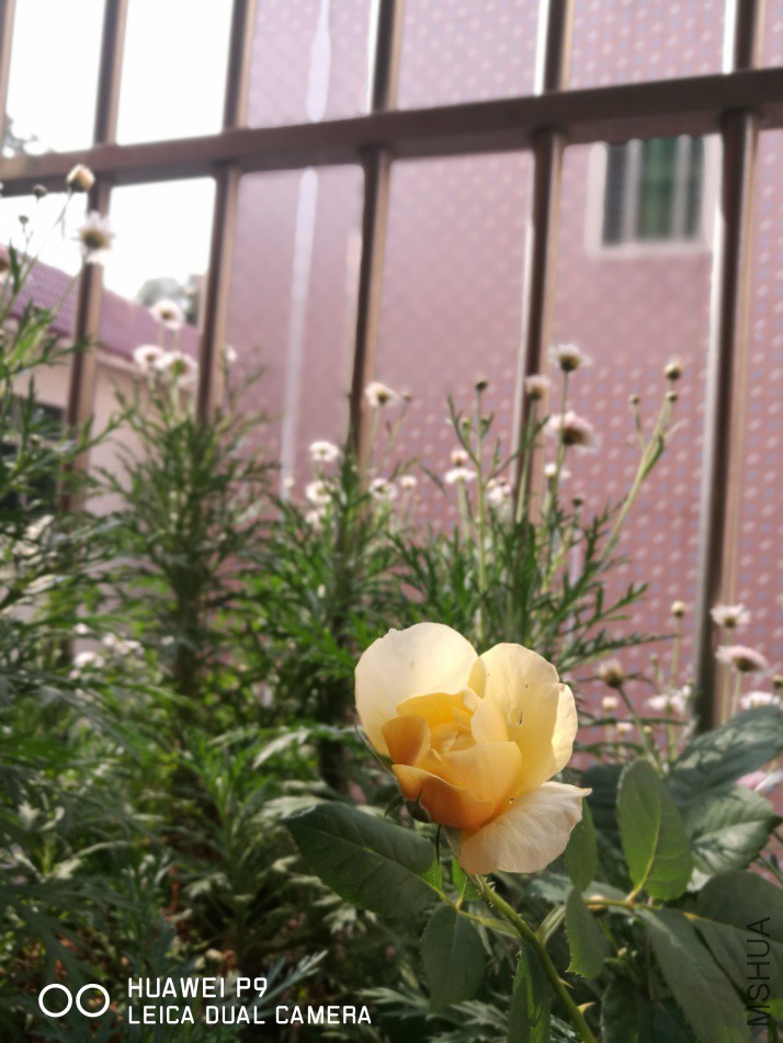 IMG_20180330_091148.jpg