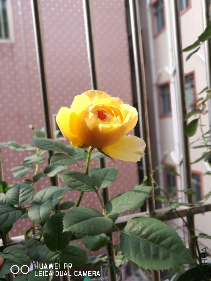 IMG_20180330_091207.jpg